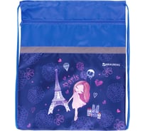 Сумка для обуви BRAUBERG Paris 49х41 см 229178