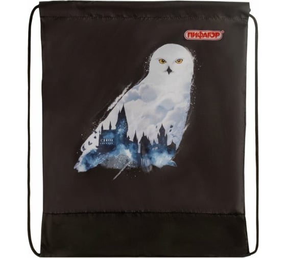 Сумка для обуви Пифагор White Owl, 1 отделение, 42х34 см, 270182