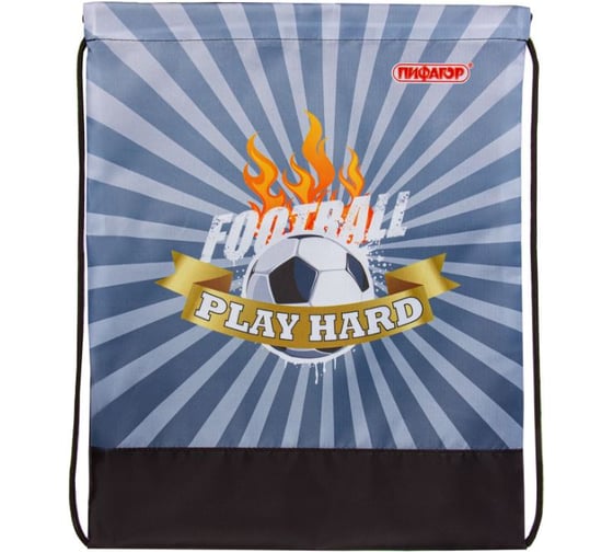 Сумка для обуви Пифагор Play hard, 1 отделение, 42х34 см, 270186