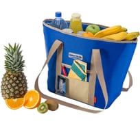 Термосумка Biostal Фэмили 15 л, синяя TВ-15B