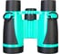 Бинокль Levenhuk Discovery Basics BB10 79653 2