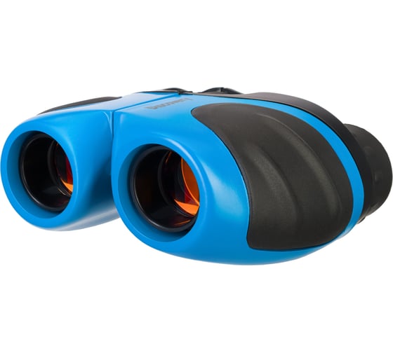 Бинокль Levenhuk Discovery Basics BBС 8x21 Gravity 79654