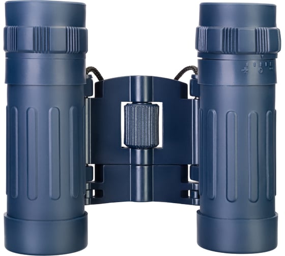 Бинокль Levenhuk Discovery Basics BB 8x21 79652