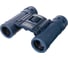Бинокль Levenhuk Discovery Basics BB 8x21 79652 10