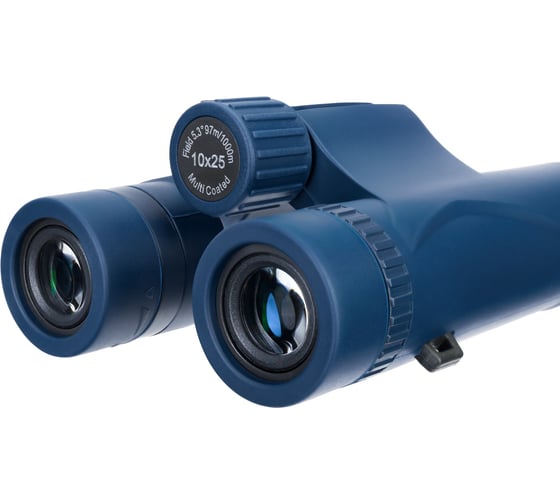 Бинокль Levenhuk Discovery Elbrus 10x25 79580
