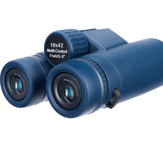Бинокль Levenhuk Discovery Elbrus 10x42 79581