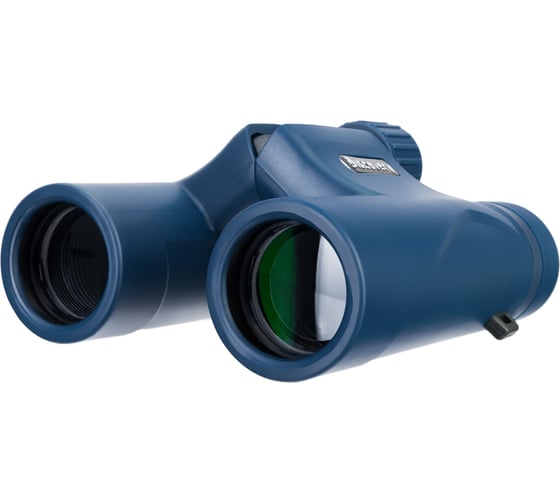 Бинокль Levenhuk Discovery Elbrus 8x25 79578