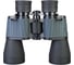 Бинокль Levenhuk Discovery Flint 10x50 79583 2