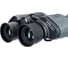 Бинокль Levenhuk Discovery Flint 10x50 79583 6