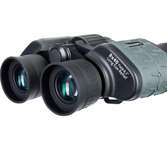 Бинокль Levenhuk Discovery Flint 8x40 79582