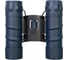 Бинокль Levenhuk Discovery Gator 10x25 77909 2