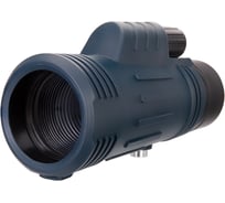 Монокуляр Levenhuk Discovery Gator 10x42 78230