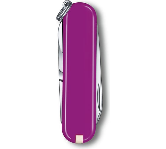 Нож-брелок Victorinox Classic SD Colors Tasty Grape 58 мм, 7 функций, фиолетовый 0.6223.52G