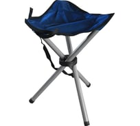 Складной стульчик Park DW-1001С темно-синий 993059