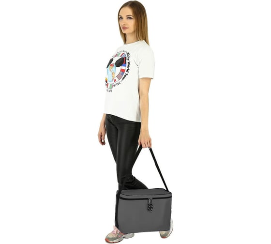 Сумка-холодильник Bener Refrigerator Bag Simple серая, 16 л СХСЧСХ113С