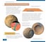 Телескоп Discovery Sky Trip ST70 с книгой 77867 9