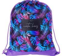 Мешок для обуви ArtSpace Exotic leaves, 1 отделение, 340х420мм СДС_31680
