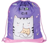 Мешок для обуви ArtSpace Funny kitty 1 отделение, 340х420мм СДС_31678