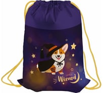 Мешок для обуви с вентиляционной сеточкой BERLINGO Little wizard, 1 отделение, 460х360мм, MS09256