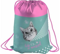 Мешок для обуви с вентиляционной сеточкой BERLINGO Curious Cat, 1 отделение, 460х360мм, MS09245