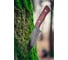 Нож для выживания NEO Tools full-tang 23 см 63-111 5