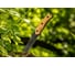 Тактический нож NEO Tools full-tang 25 см 63-110 3