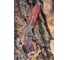 Складной нож NEO Tools 22 см 63-115 4