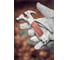 Мультитул NEO Tools 13 в 1 63-113 3