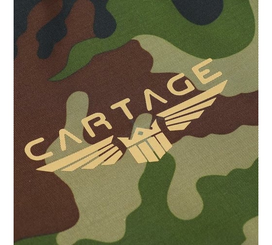 Термосумка Cartage Т-01, зеленый камуфляж, 17-18 литров, 35x21x24 см 7049929