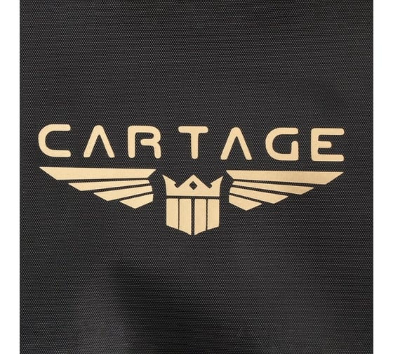 Термосумка Cartage Т-14, черная, 10 литров, 26x19x19 см 7345226