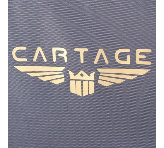 Термосумка Cartage Т-11, серая, 17-18 литров, 35x21x24 см 7345223