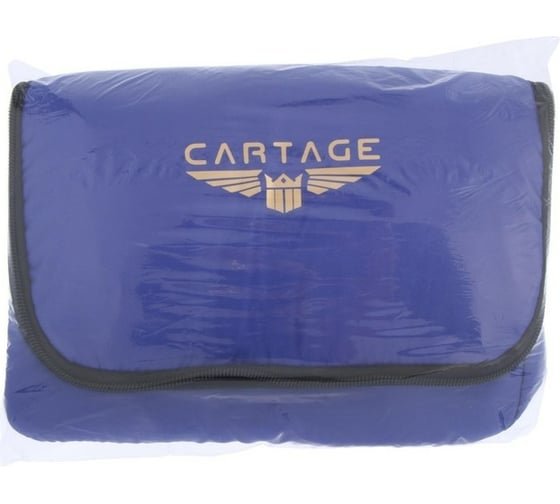 Термосумка Cartage Т-16, синяя, 10 литров, 26x19x19 см 7345228 1