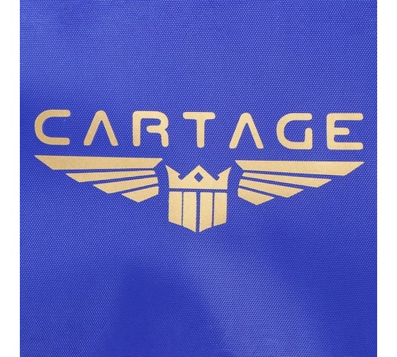 Термосумка Cartage Т-16, синяя, 10 литров, 26x19x19 см 7345228