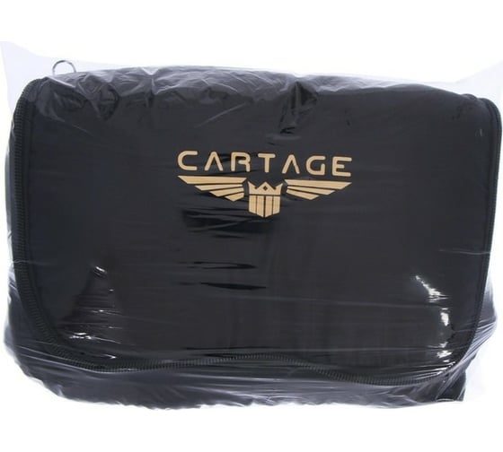 Термосумка Cartage Т-10, черная, 17-18 литров, 35x21x24 см 7345222