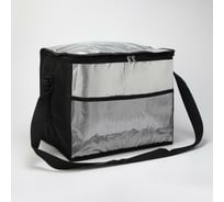 Дорожная сумка СИМАЛЕНД Термо, 36х25х29 см, отдел на молнии, чёрный 2984023