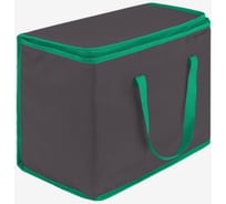 Термосумка с ручками Paxwell Фреш 1L большая, цвет темно-серый, зеленая окантовка FRTB1L-101798