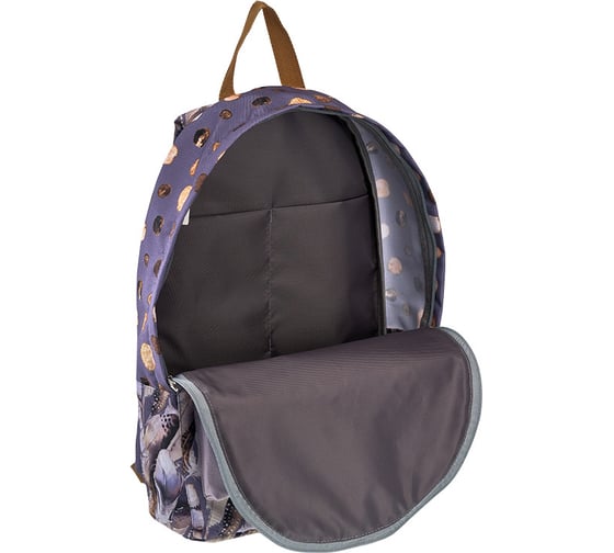 Рюкзак ErichKrause EasyLine 12L Dreamy Owl 51689