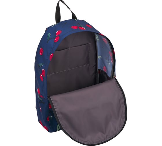 Рюкзак ErichKrause EasyLine 17L Cherryfall 51745