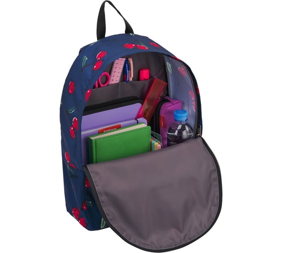 Рюкзак ErichKrause EasyLine 17L Cherryfall 51745