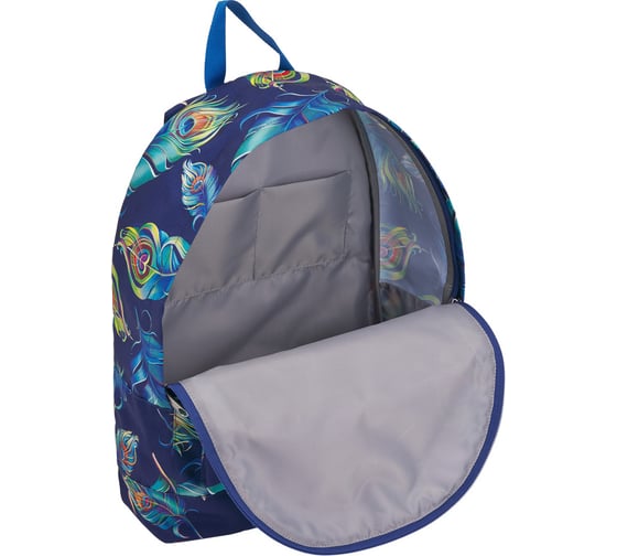 Рюкзак ErichKrause EasyLine 17L Evanescence 46292