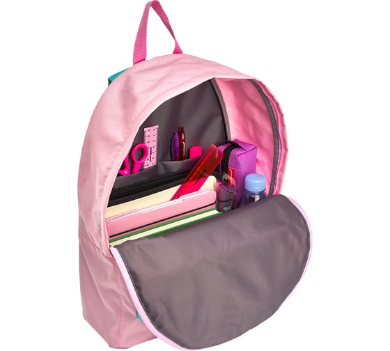 Рюкзак ErichKrause EasyLine 17L Rose 54722