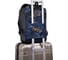 Рюкзак ErichKrause StreetLine 16L Hidden Leopard 54704 8