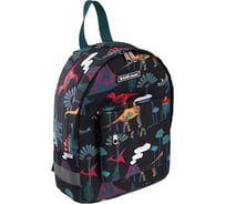 Рюкзак ErichKrause EasyLine Mini 6L Dino Valley 54403