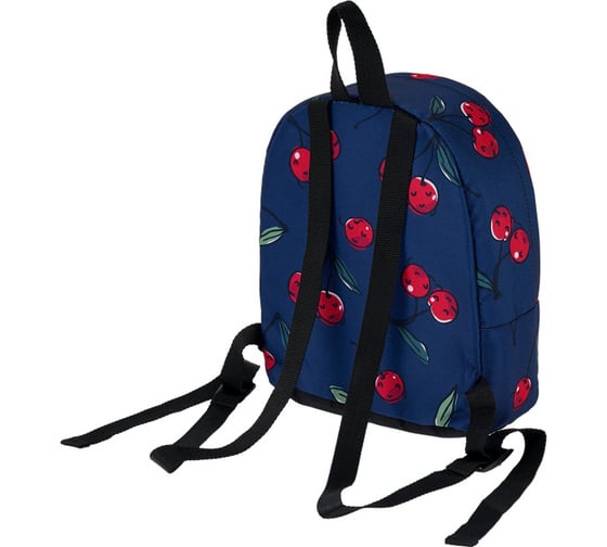 Рюкзак ErichKrause EasyLine 6L Cherryfall 51684