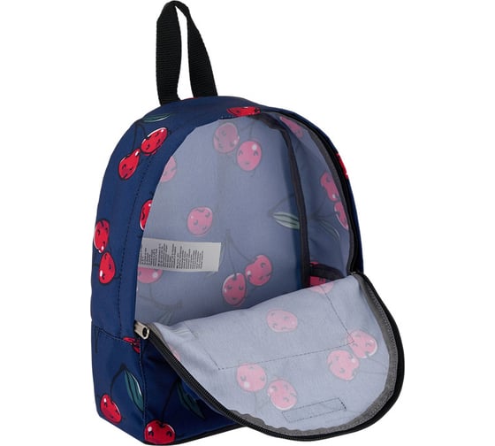 Рюкзак ErichKrause EasyLine 6L Cherryfall 51684