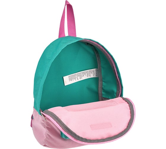 Рюкзак ErichKrause EasyLine 6L Rose 54733