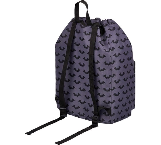 Рюкзак на шнурке ErichKrause EasyLine 16L Bat Cave 51789