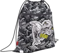 Мешок для обуви ErichKrause Dinosaur Park, с карманом на молнии, 500x410 мм, 52133