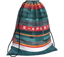 Мешок для обуви ErichKrause Cybersport 365x440мм 52485