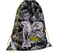 Мешок для обуви ErichKrause Dinosaur Park 365x440мм 52030